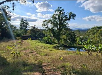 Rural de 3 quartos, Sete Barras · SITIO DE 2 ALQUEIRES À BEIRA DA REGIS BITTENCOURT PERFEITO PARA MORAR E PRODUZIR