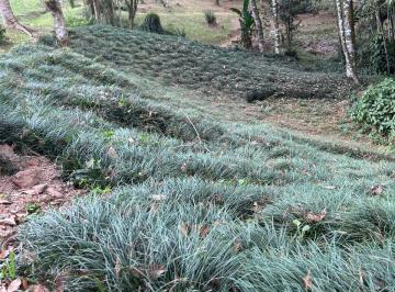 Rural , São Roque · CHÁCARA  -  NATUREZA PERFEITA  SÃO ROQUE 