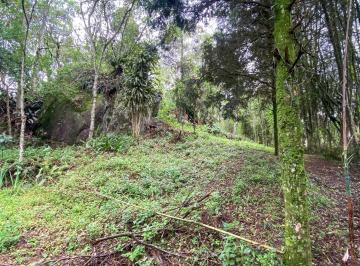 Terreno · 3146m² · Terreno em Jardim Rosa Azul (Caucaia do Alto), Cotia/SP de 0m² à venda por R$ 400.000,00