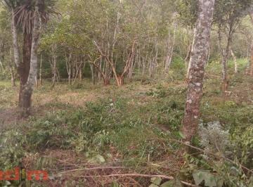 Terreno · 1200m² · TERRENO A VENDA NO BARRAGEM EM PARELHEIROS