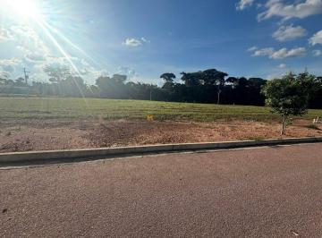 Terreno · 375m² · Maestria Sua imobiliária de confiança em Sorriso-MT 