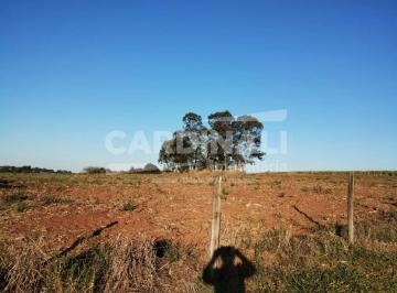Rural · 66792m² · Rural Padrão em São Carlos