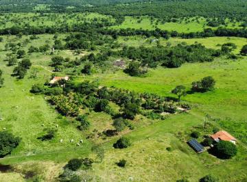 Rural , Colinas do Sul · FAZENDA DE PECUÁRIA NA REGIÃO DE COLINAS DO SUL, GOIÁS 