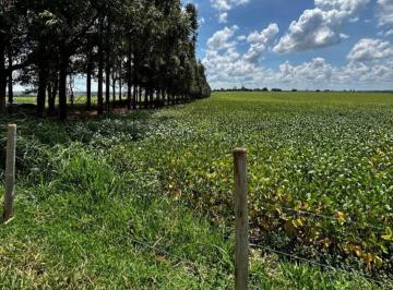 4b1177fc5df5f2aed5c283a8142f756f.jpeg · Fazenda / Sítios / Chácaras à venda em Dores Do Indaiá, no bairro Área Rural De Dores Do Indaiá