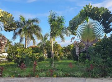 Lote à venda no RESIDENCIAL GUARICEMA , ROBALO, Aracaju, SE · Lote à venda no RESIDENCIAL GUARICEMA , ROBALO, Aracaju, SE