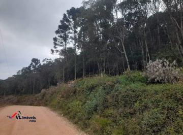 Terreno · 71406m² · Terreno para formar chácara no bairro avencal em Mandirituba - PR