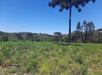 Rural · 36000m² · Chácara á venda no bairro Lagoa dos Ferreiras em Mandirituba - PR