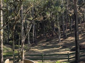 Foto 04 · Terreno, Lageado, Campo Alegre, SC