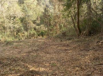Parte de Cima Plana · Terreno 1250 m² excelente localização declive médio terraplanagem, fundo riacho