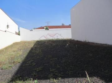 Terreno · 285m² · Terreno para Locação no bairro Parque Residencial Lagoinha, em Ribeirão Preto