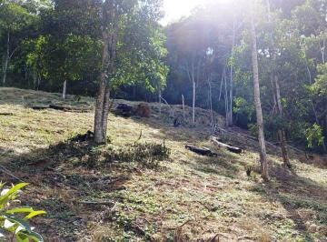 27469677316dc60a45e42a25d5af73d5.jpg · Lote / Terreno à venda em Marechal Floriano, no bairro Soído De Baixo