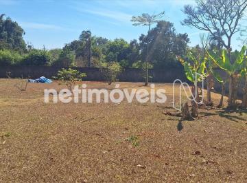 11d93d80-640d-4413-a813-c141661908a2.webp · Terreno de 2.500m² no Parkway - SMPW 23. Construa sua casa dos sonhos!