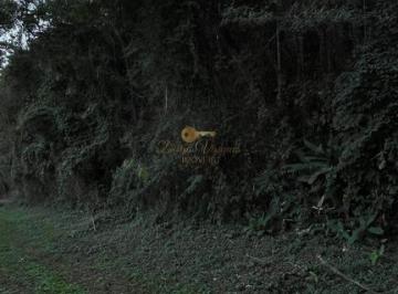20250816215755253.jpg · Terreno para Venda em Teresópolis, Vale Feliz