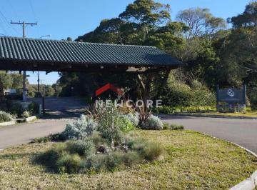 Terreno · 652m² · Lote em Rua Abutilon - Colinas - São Francisco de Paula/RS