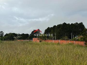 Terreno · 3 Quartos · Lote em  Pardinho - Centro - Pardinho/SP