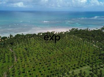 Terreno · 80000m² · Terreno à venda em Morro de São Paulo, 75 ou 150m frente mar