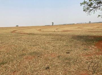 uf1tdhq2odkzy2uxnjkwotq3_md · Excelente Área Rural à Venda – 27 Alqueires | Altíssimo Potencial Agrícola