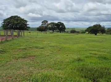 imxxous2odkzyzgzytlmyzyx_md · Oportunidade Única – Fazenda à Venda com 95 Alqueires em Martinópolis/SP