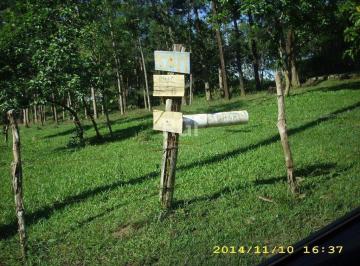 Terreno · 4200m² · Terreno para Venda - 0m², 0 dormitórios, Lomba do Pinheiro