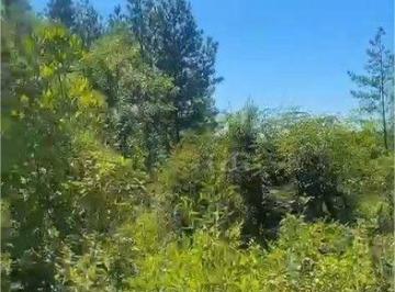 c4d40a3691ff3e9fb4cf70f5c32e0bd9b4a9259e · Área à venda, 11000 m² por R$ 300.000,00 - Sítios - Viamão/RS