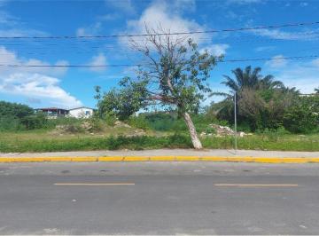 Comercial · 360m² · Vendo 02 excelentes terrenos em Barra de Jangada - PE