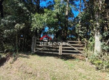 Terreno · 600m² · Lote em  Rua da Bracatinga - Colinas - São Francisco de Paula/RS