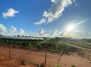 Foto 01 · Chacara, Zona Rural, Brasilia, DF