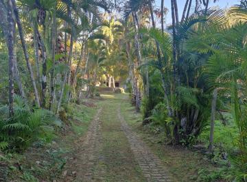 Rural de 2 quartos, Paraty · Sítio próximo do Caminho d Ouro e Cachoeiras em Paraty-RJ