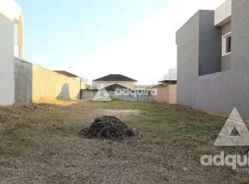 terreno-a-venda-438m-jardim-carvalho-ponta-grossa-pr1699967762094tpzdy.jpg · Imoveis - no Jardim Carvalho