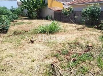 terreno-a-venda-390-m-por-r-400-000-00-jardim-dos-calegaris-paulinia-sp1684332923638ldwhu.jpg · Imoveis - no Jardim dos Calegaris