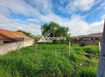 whatsapp-image-2024-05-20-at-09-39-18-11716228421021.jpeg · Imoveis - em Colônia Dona Luíza