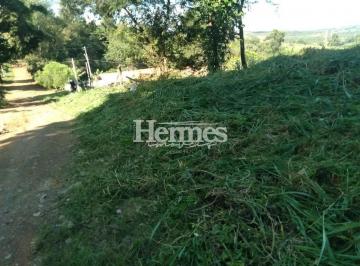 imagem-do-whatsapp-de-2024-02-23-a-s-13-59-46_5dead7041714413085007.jpg · Imoveis - no Jardim Monte Belo