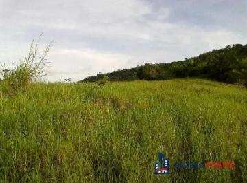 terreno-comercial-a-venda-de-8-hectares-penedo-sao-lourenco-da-mata-te00471666194060658tlxyk.jpg · Imoveis - Em Curado IV