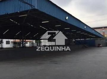 comercial-vila-ribeiro-de-barros1725483721365hthhf.jpg · Comercial - Vila Ribeiro de Barros