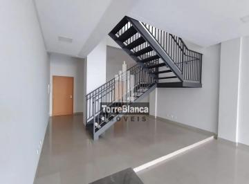loja-para-alugar-182-m-por-r-4-500-00-mes-centro-ponta-grossa-pr1683726415816nfpkq.jpg · Imoveis - na Estrela