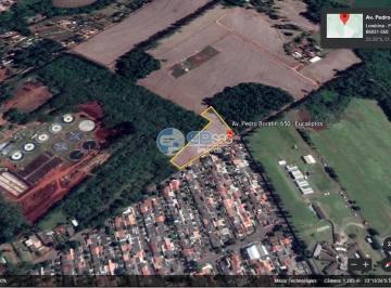 8C1B782D-FDE2-4AF8-B403-12476B525C17.jpg · Área Industrial à Venda, Eucaliptos, Londrina, PR