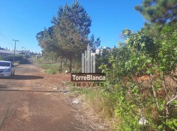 834584cd-fa72-4efb-9ce2-89c749ad352e1686144883184.jpg · Imoveis - na Estrela