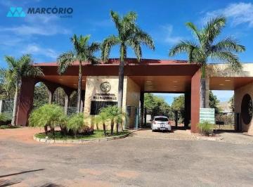 3055361469905581745613651314.jpg · Imoveis - na Bela Vista de Goiás
