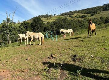 whatsapp-image-2024-06-19-at-15-57-011718824079943.jpeg · Sítio à venda, interior, Faxinal dos Guedes, SC