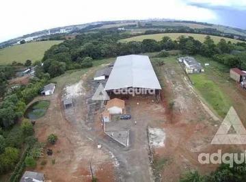 comercial-para-locacao-15193m-cara-cara-ponta-grossa-pr1699970197659sblmr.jpg · Imoveis - em Cará-cará