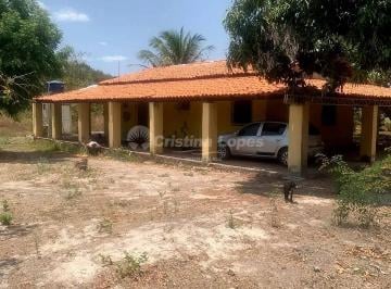 1d723a00-11ce-4624-90d1-1cf49baea6131736361659207.jpeg · Imoveis - em Teresina