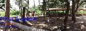 sitio-chacara-zona-rural-teresina1692391283089iezlt.jpg · Imoveis - em Teresina