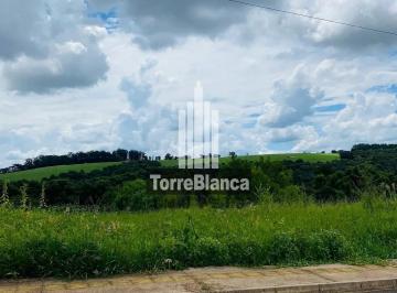 13627C7C-18D9-4CFB-9DC6-ADD6DADF0393.jpg · Imoveis - em Contorno