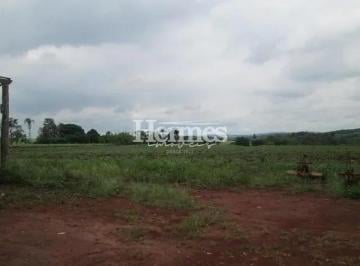 sitio-boa-esperanca1684331632790uxeuj.jpg · Imoveis - em Betel