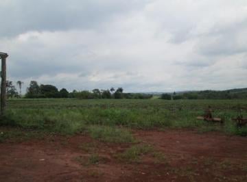 sitio-boa-esperanca1684331632790uxeuj.jpg · Imoveis - em Betel