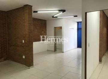 casa-para-alugar-113-m-no-santa-cecilia-paulinia-sp1684338268116jplik.jpg · Imoveis - em Santa Cecília