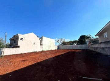 whatsapp-image-2024-06-12-at-10-59-15-21718201209494.jpeg · Imoveis - em Colônia Dona Luíza