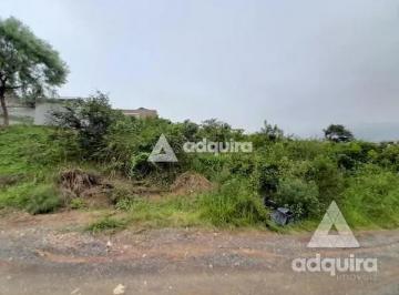 terreno-a-venda-490m-uvaranas-ponta-grossa-pr1699967947262exxrv.jpg · Imoveis - em Uvaranas