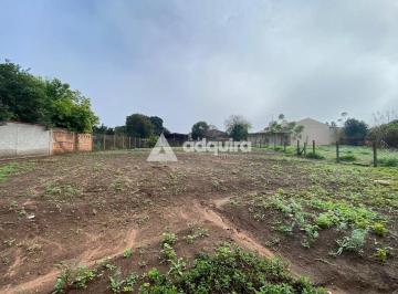 whatsapp-image-2024-07-17-at-11-20-321721226194540.jpeg · Imoveis - em Colônia Dona Luíza