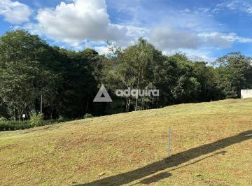 imagem-do-whatsapp-de-2025-05-21-a-s-16-19-44_f6a665a81748542871665.jpg · Imoveis - em Colônia Dona Luíza
